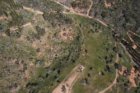 Helårsgrund i Odemira, Beja, Odemira - € 750.000 | Ref: C0369-00552 - foto 25