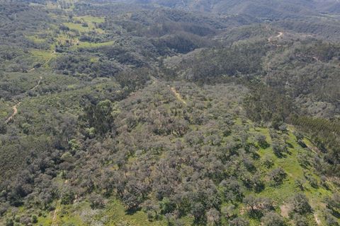 Helårsgrund i Odemira, Beja, Odemira - € 750.000 | Ref: C0369-00552 - foto 29
