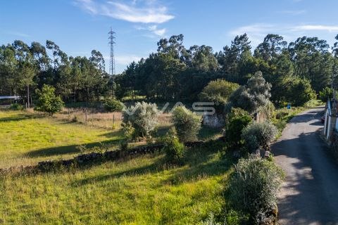 Villa i Vila Verde, Braga, Vila Verde - € 99.000 | Ref: 01-3451 - foto 11