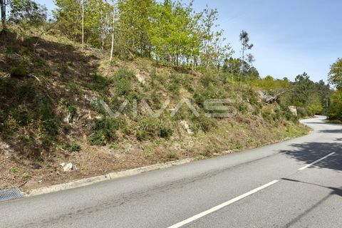 Helårsgrund i Vila Verde, Braga, Vila Verde - € 45.000 | Ref: 01-3467 - foto 2