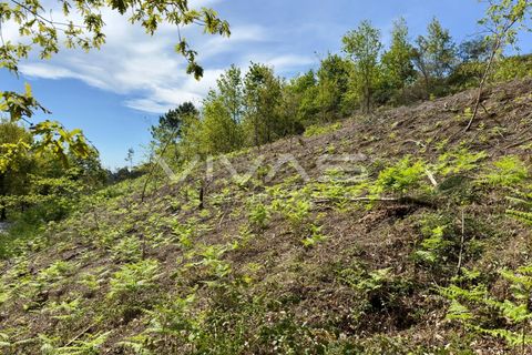 Helårsgrund i Vila Verde, Braga, Vila Verde - € 45.000 | Ref: 01-3467 - foto 4