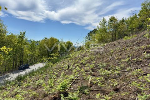 Helårsgrund i Vila Verde, Braga, Vila Verde - € 45.000 | Ref: 01-3467 - foto 5