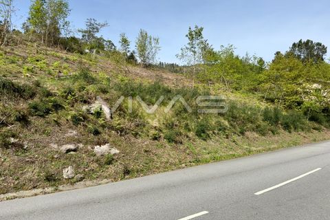 Helårsgrund i Vila Verde, Braga, Vila Verde - € 45.000 | Ref: 01-3467 - foto 8