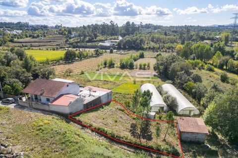 Terra a Amares, Braga, Amares - € 25.000 | Ref: 01-3481 - foto 2