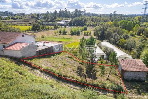 Terra a Amares, Braga, Amares - € 25.000 | Ref: 01-3481 - foto 3