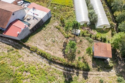 Terra a Amares, Braga, Amares - € 25.000 | Ref: 01-3481 - foto 7