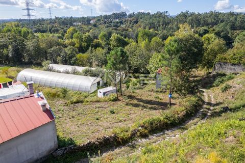 Terra a Amares, Braga, Amares - € 25.000 | Ref: 01-3481 - foto 13