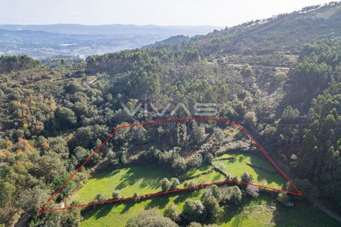 Helårsgrund i Vila Verde, Braga, Vila Verde - € 37.000 | Ref: 01-3507 - foto 2