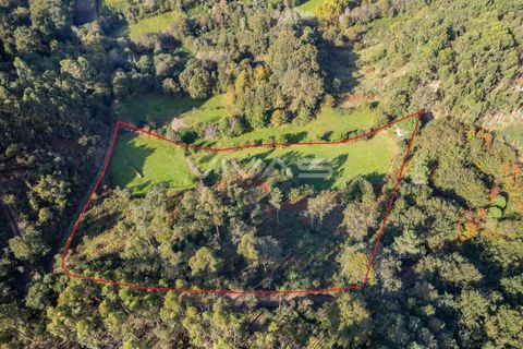 Helårsgrund i Vila Verde, Braga, Vila Verde - € 37.000 | Ref: 01-3507 - foto 4