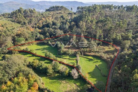 Helårsgrund i Vila Verde, Braga, Vila Verde - € 37.000 | Ref: 01-3507 - foto 6