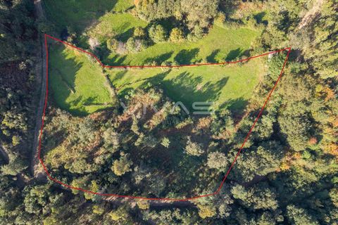 Helårsgrund i Vila Verde, Braga, Vila Verde - € 37.000 | Ref: 01-3507 - foto 7