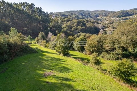Helårsgrund i Vila Verde, Braga, Vila Verde - € 37.000 | Ref: 01-3507 - foto 8