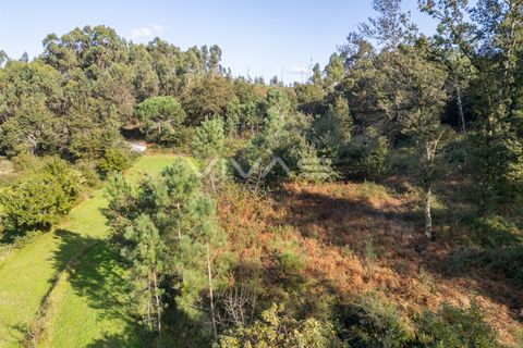 Helårsgrund i Vila Verde, Braga, Vila Verde - € 37.000 | Ref: 01-3507 - foto 9