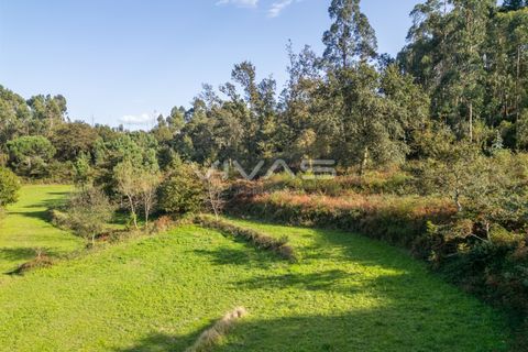 Helårsgrund i Vila Verde, Braga, Vila Verde - € 37.000 | Ref: 01-3507 - foto 10