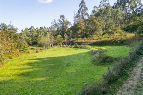 Helårsgrund i Vila Verde, Braga, Vila Verde - € 37.000 | Ref: 01-3507 - foto 11