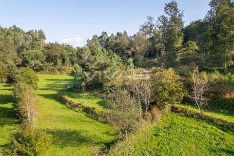 Helårsgrund i Vila Verde, Braga, Vila Verde - € 37.000 | Ref: 01-3507 - foto 12