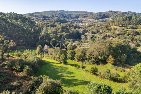 Helårsgrund i Vila Verde, Braga, Vila Verde - € 37.000 | Ref: 01-3507 - foto 13