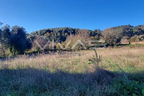 Helårsgrund i Vila Verde, Braga, Vila Verde - € 19.900 | Ref: 01-3546 - foto 2