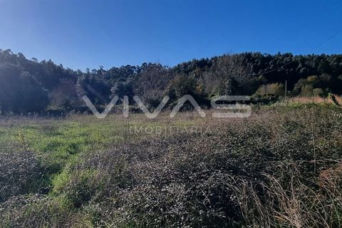 Helårsgrund i Vila Verde, Braga, Vila Verde - € 19.900 | Ref: 01-3546 - foto 4