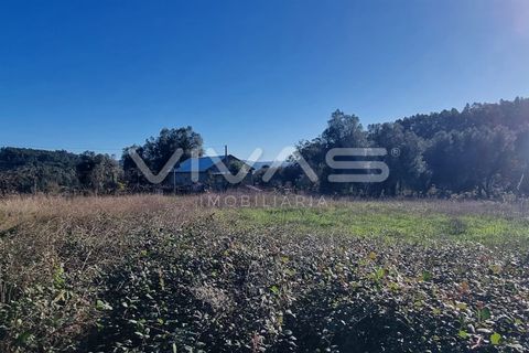 Helårsgrund i Vila Verde, Braga, Vila Verde - € 19.900 | Ref: 01-3546 - foto 5