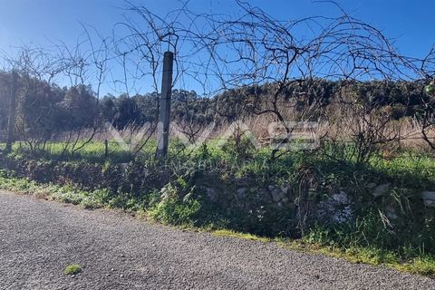 Helårsgrund i Vila Verde, Braga, Vila Verde - € 19.900 | Ref: 01-3546 - foto 6