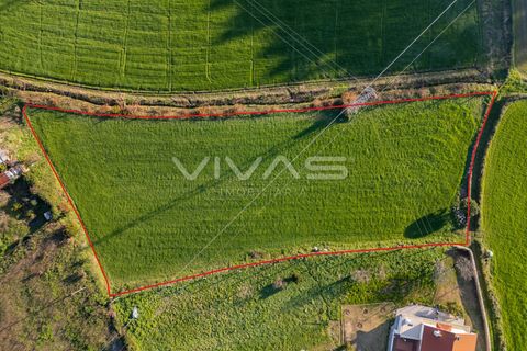Helårsgrund i Vila Verde, Braga, Vila Verde - € 299.000 | Ref: 01-3549 - foto 4