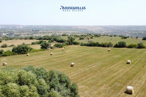 Landejendom i Noto, Siracusa, Noto - € 350.000 | Ref: 995 - foto 6