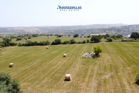Landejendom i Noto, Siracusa, Noto - € 350.000 | Ref: 995 - foto 7