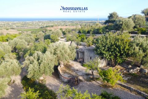 Landejendom i Avola, Siracusa, Avola - € 160.000 | Ref: 1001 - foto 4