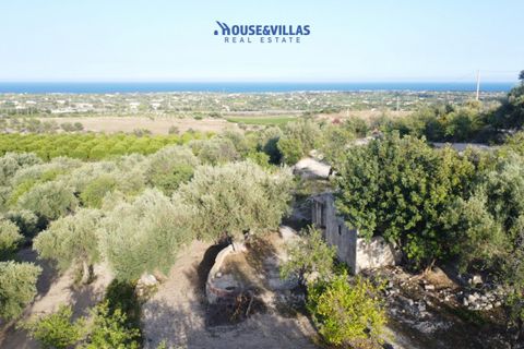 Landejendom i Avola, Siracusa, Avola - € 160.000 | Ref: 1001 - foto 5