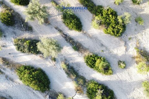 Landejendom i Avola, Siracusa, Avola - € 160.000 | Ref: 1001 - foto 7