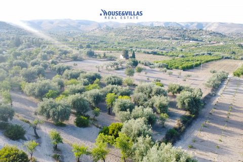 Landejendom i Avola, Siracusa, Avola - € 160.000 | Ref: 1001 - foto 8