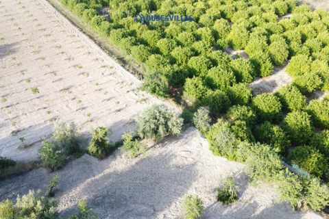 Landejendom i Avola, Siracusa, Avola - € 160.000 | Ref: 1001 - foto 9