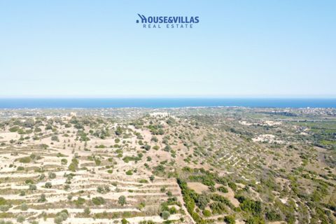 Landejendom i Noto, Siracusa, Noto - € 2.000.000 | Ref: 1003 - foto 3