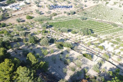 Landejendom i Noto, Siracusa, Noto - € 2.000.000 | Ref: 1003 - foto 9