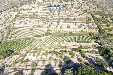 Landejendom i Noto, Siracusa, Noto - € 2.000.000 | Ref: 1003 - foto 10