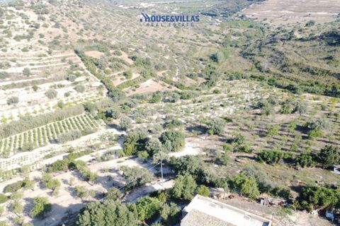Landejendom i Noto, Siracusa, Noto - € 2.000.000 | Ref: 1003 - foto 11