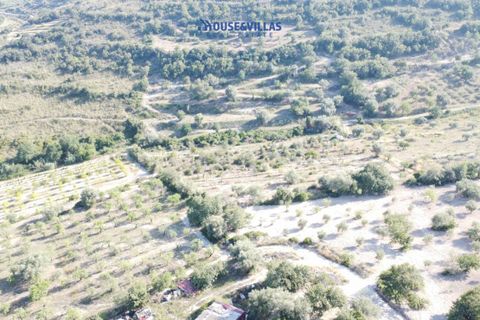 Landejendom i Noto, Siracusa, Noto - € 2.000.000 | Ref: 1003 - foto 12