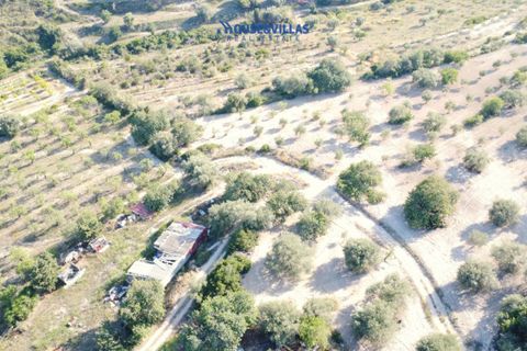 Landejendom i Noto, Siracusa, Noto - € 2.000.000 | Ref: 1003 - foto 13