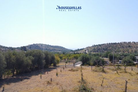 Helårsgrund i Avola, Siracusa, Avola - € 170.000 | Ref: 1031 - foto 2