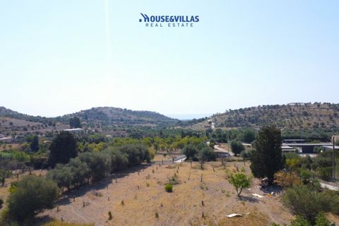 Helårsgrund i Avola, Siracusa, Avola - € 170.000 | Ref: 1031 - foto 3