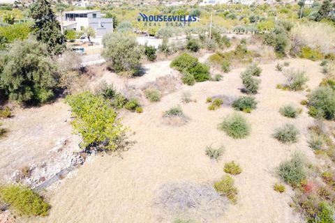 Helårsgrund i Avola, Siracusa, Avola - € 170.000 | Ref: 1031 - foto 8