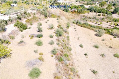 Helårsgrund i Avola, Siracusa, Avola - € 170.000 | Ref: 1031 - foto 15