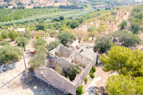 Landejendom i Noto, Siracusa, Noto - € 1.200.000 | Ref: 1047 - foto 6