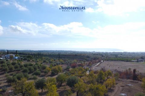 Villa i Avola, Siracusa, Avola - € 155.000 | Ref: 1074 - foto 8