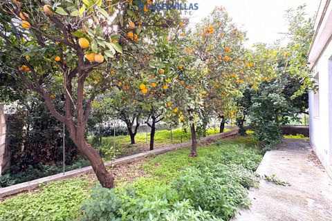 Villa i Noto, Siracusa, Noto - € 190.000 | Ref: 1099 - foto 2