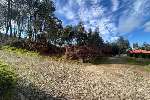 Helårsgrund i Venade e Azevedo, Viana do Castelo, Venade e Azevedo - € 37.000 | Ref: 1153 - foto 2