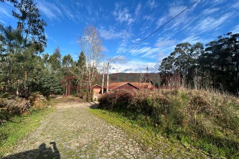 Helårsgrund i Venade e Azevedo, Viana do Castelo, Venade e Azevedo - € 37.000 | Ref: 1153 - foto 5