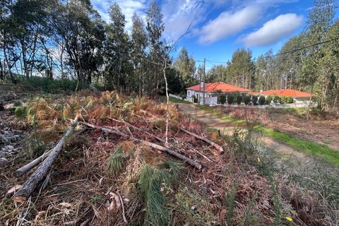 Helårsgrund i Venade e Azevedo, Viana do Castelo, Venade e Azevedo - € 37.000 | Ref: 1153 - foto 6