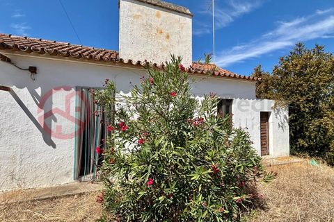 Farm i Couco, Santarem, Couco - € 199.000 | Ref: 4245JC4 - foto 3